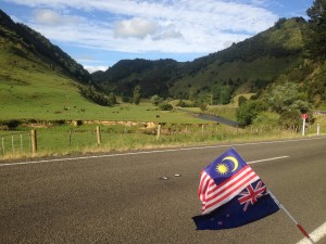 MY & NZ